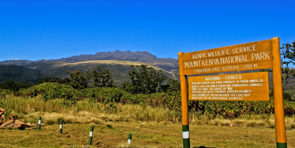Nanyuki mountain guide recovered on Mount Kenya