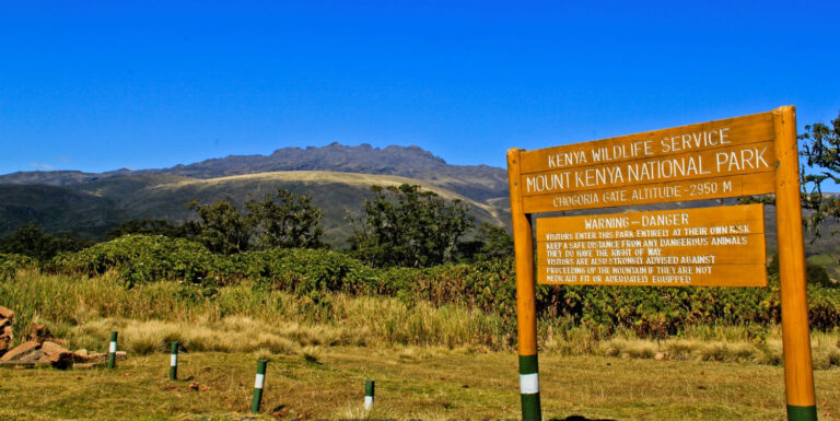 Nanyuki mountain guide recovered on Mount Kenya