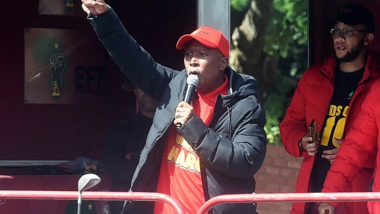 Malema Goes for the Jugular: EFF Boss Wants Ngizwe Mchunu Behind Bars for Six Months