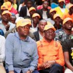 Linda Mwananchi Is Fracturing From Within — And Someone May Be Pulling the Strings