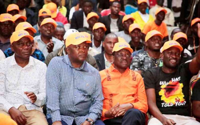 Linda Mwananchi Is Fracturing From Within — And Someone May Be Pulling the Strings