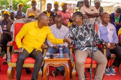 Vision 2060: Kenya's Future or Political Cover? Here's What You Need to Know