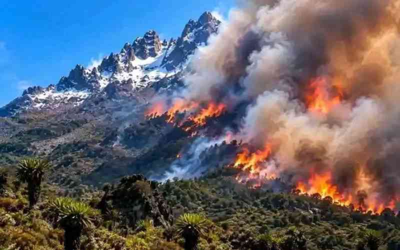 Mount Kenya Is Burning: What the Government Isn't Telling You About 8,700 Lost Hectares