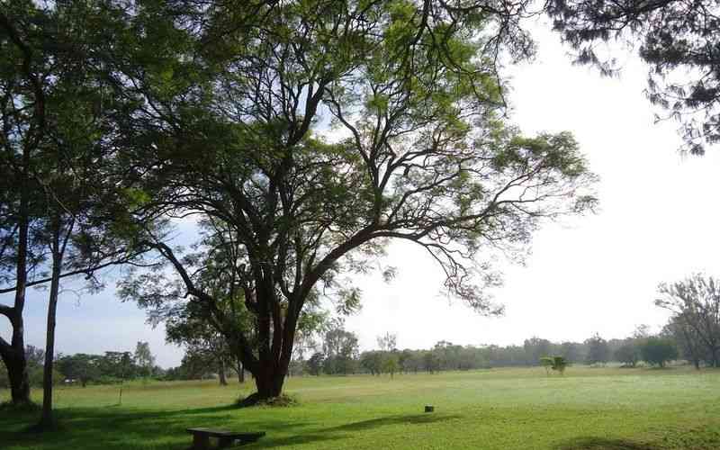 How Kakuzi Lost Its Golf Land to a Community Club — And What It Reveals About Kenya's Legal System